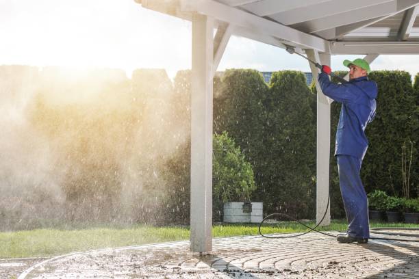 Best Solar Panel Cleaning  in Celina, TX